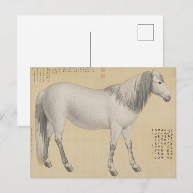 Ruyi cong("As-You-Wish" Piebald) Fine Art Postcard (Front/Back)
