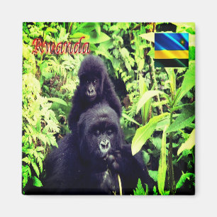 RW - Rwanda - Gorilla at National Park Magnet
