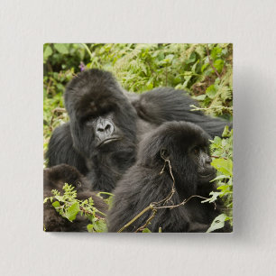 Rwanda, Volcanoes National Park 2 Inch Square Button