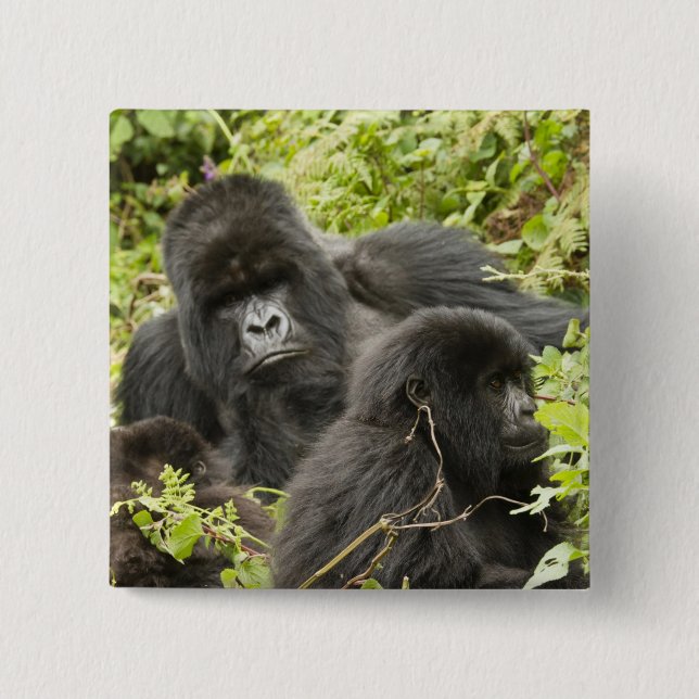Rwanda, Volcanoes National Park 2 Inch Square Button (Front)