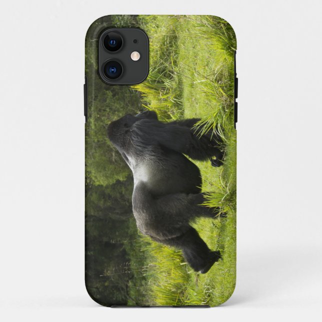 Rwanda, Volcanoes National Park Case-Mate iPhone Case (Back)