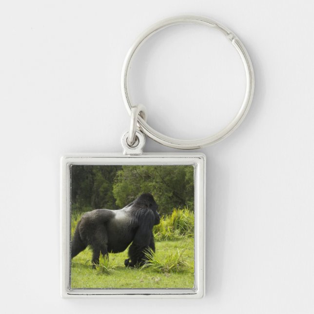 Rwanda, Volcanoes National Park Keychain (Front)