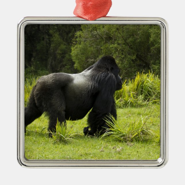 Rwanda, Volcanoes National Park Metal Ornament (Front)