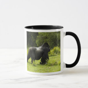Rwanda, Volcanoes National Park Mug
