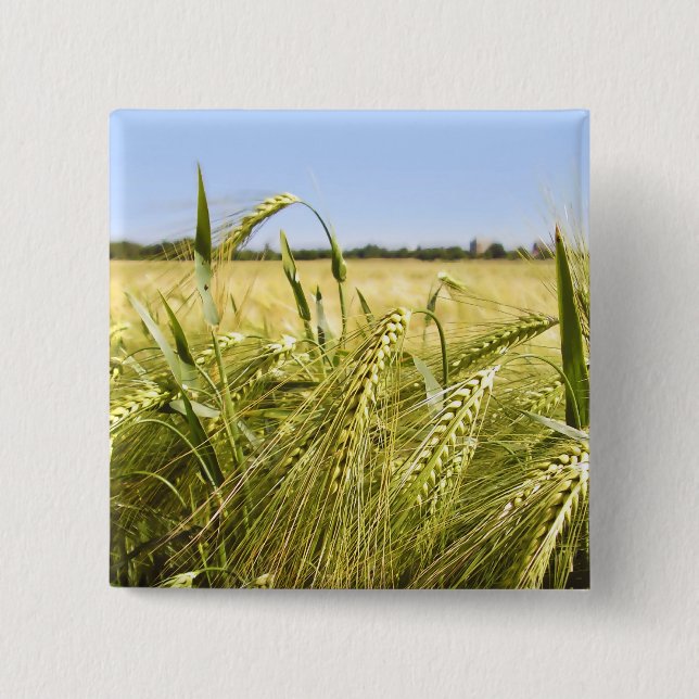 Rye Grain Botanical Nature 2 Inch Square Button (Front)