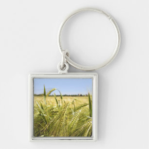 Rye Grain Botanical Nature Keychain