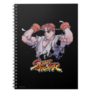 Ryu 2 notebook