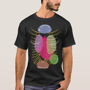 S2 Echocardiography Echocardiographer (4) T-Shirt