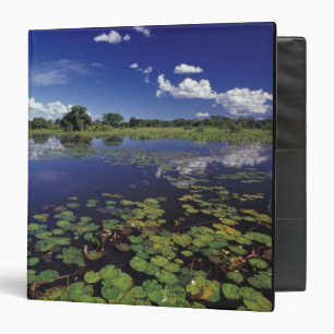 S.A., Brazil, Waterways in Pantanal Binder