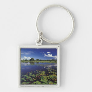 S.A., Brazil, Waterways in Pantanal Keychain