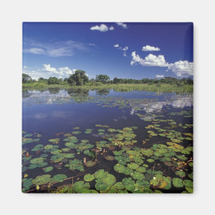 S.A., Brazil, Waterways in Pantanal Magnet