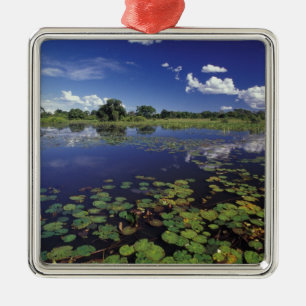 S.A., Brazil, Waterways in Pantanal Metal Ornament