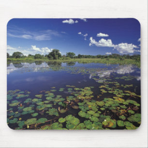 S.A., Brazil, Waterways in Pantanal Mouse Pad
