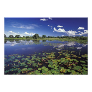 S.A., Brazil, Waterways in Pantanal Photo Print