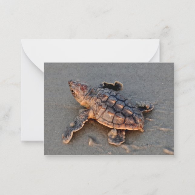 s Carte de note à écouvillonner de tortue (Devant)
