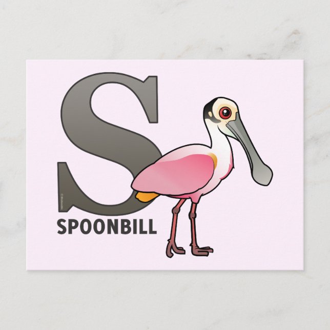 S is for Spoonbill Postcard (Front)