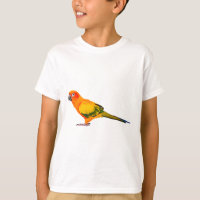 S is for Sun Conure
