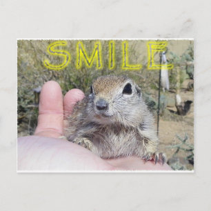 S M I L E POSTCARD