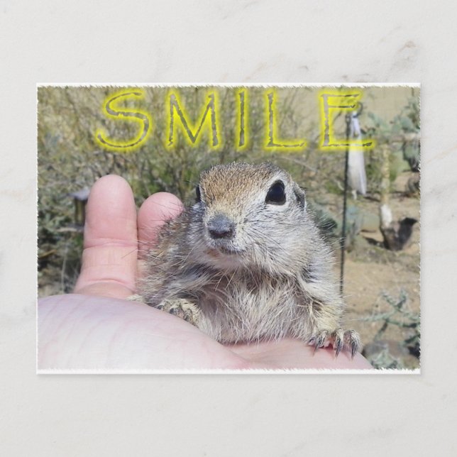 S M I L E POSTCARD (Front)