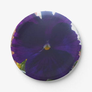 S PAPER PLATE