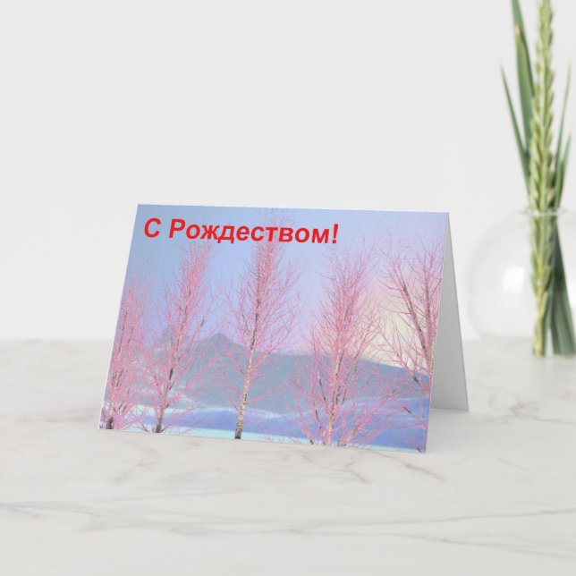 S Rozhdestvom - Raspberry Creme Birch Holiday Card (Front)