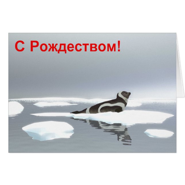 S Rozhdestvom - Ribbon Seal (Front Horizontal)