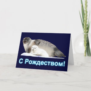 S Rozhdestvom - Ringed Seal Holiday Card