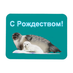 S Rozhdestvom - Ringed Seal Magnet