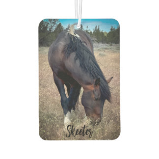 S Steens Stallions Air Freshener