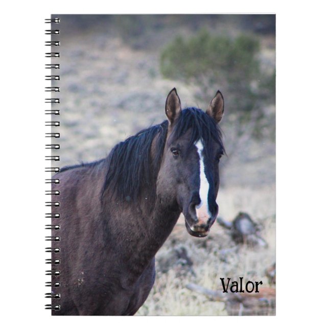 S Steens Stallions Tote Notebook (Front)