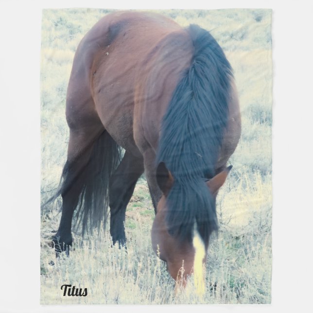 S Steens Titus Fleece Blanket (Front)