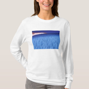 SA, Chile, Coquimbo Region, Nieve Penitente; T-Shirt