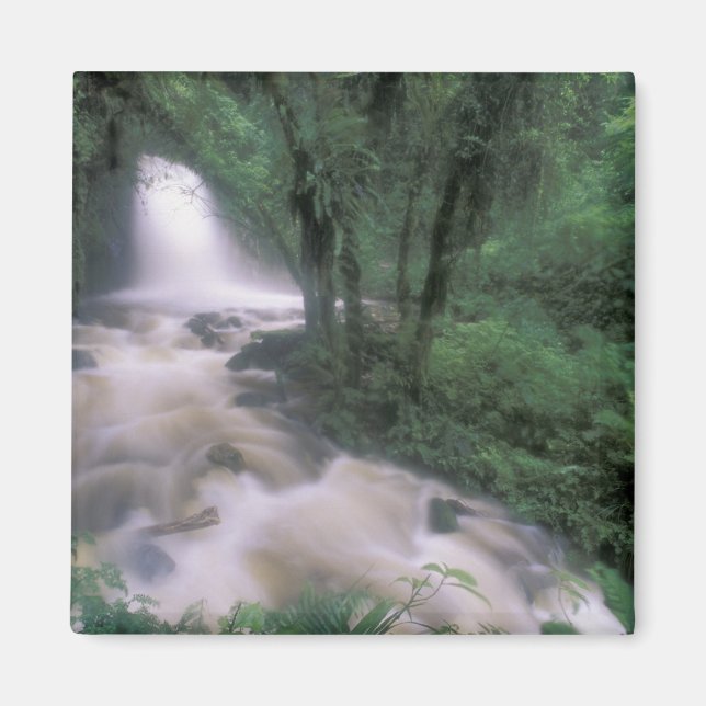 SA, Peru, S.H. Machu Picchu, Cascade and cloud Magnet (Front)