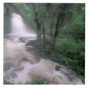 SA, Peru, S.H. Machu Picchu, Cascade and cloud Tile