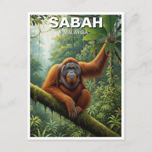 Sabah Malaysia Orangutan Travel Postcard
