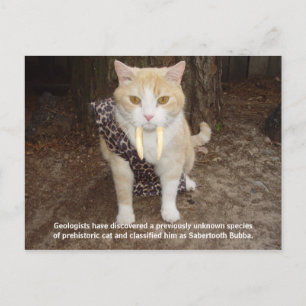 Sabertooth Bubba Postcard