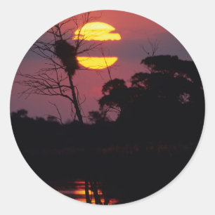 Sabi River At Sunset, Kruger National Park Classic Round Sticker