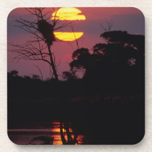 Sabi River At Sunset, Kruger National Park Coaster
