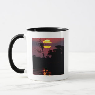 Sabi River At Sunset, Kruger National Park Mug