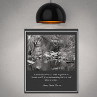 Sabino Canyon Creek Winter Scene