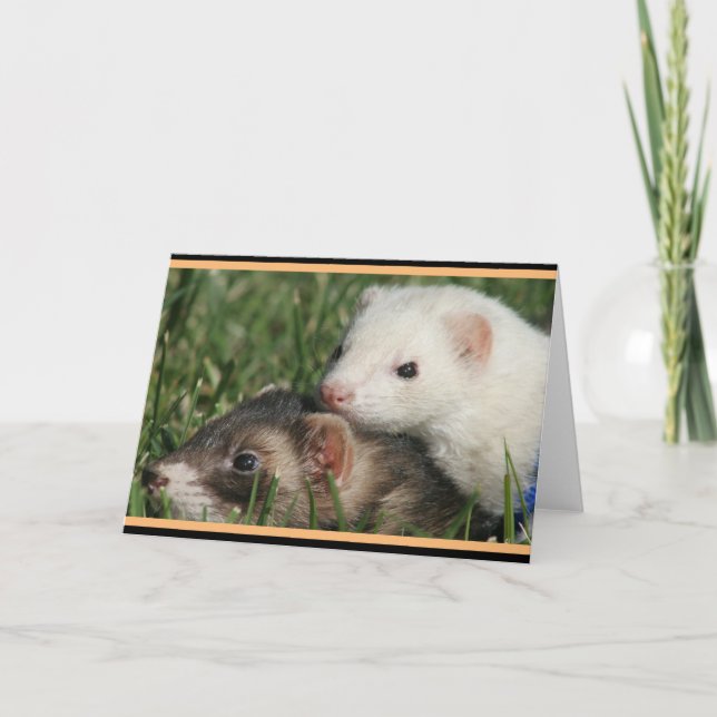 Sable and White Friends Ferrets Holiday Card (Front)
