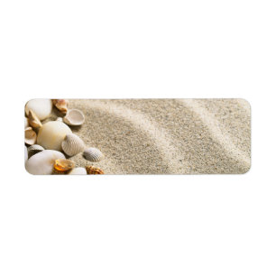 Sable avec des coquilles et des pierres.