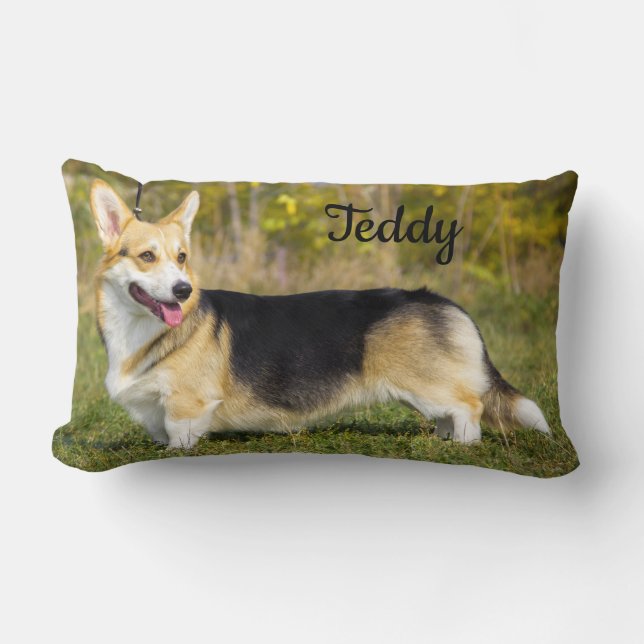 Sable Cardigan Welsh Corgi Dog Lumbar Pillow (Front)