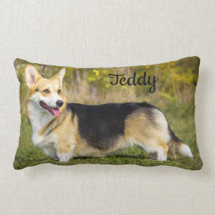 Sable Cardigan Welsh Corgi Dog Lumbar Pillow