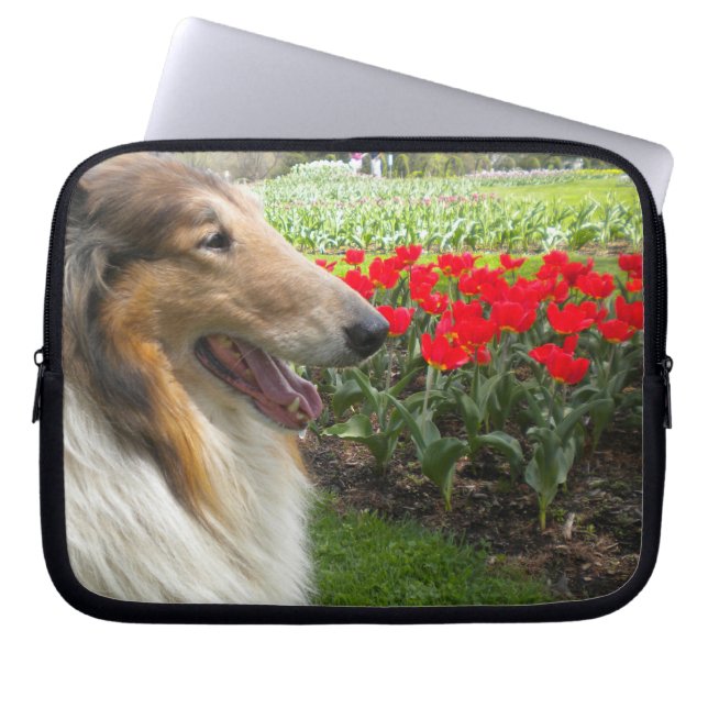 Sable Collie N Red Tulips Laptop Sleeve (Front)