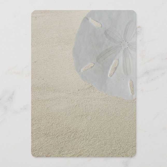 Sable Dollar Beach Sand Blond Programme Papier de  (Devant)