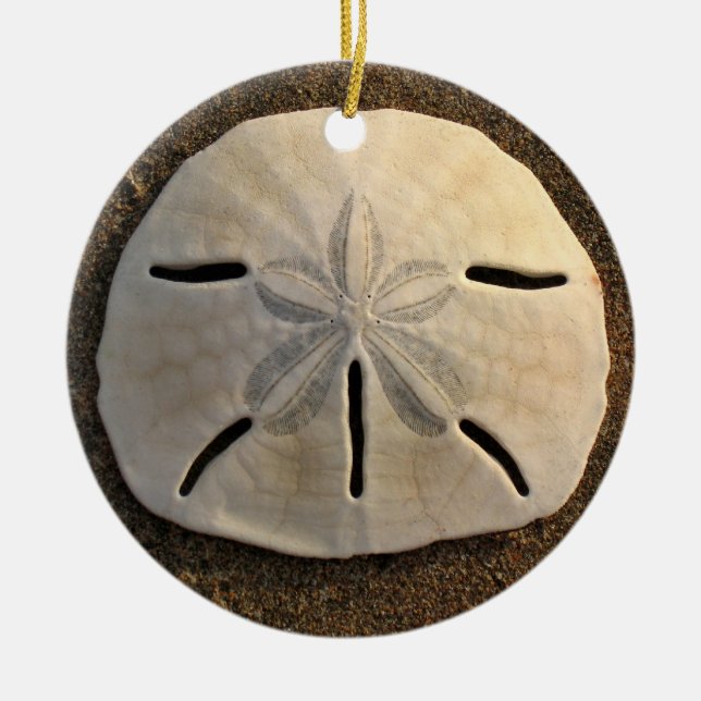 Sable Dollar Seashell Beach Ornement Pendentif (Devant)