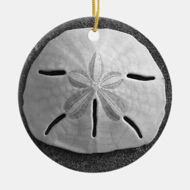 Sable Dollar Seashell Beach Ornement Pendentif (Devant)