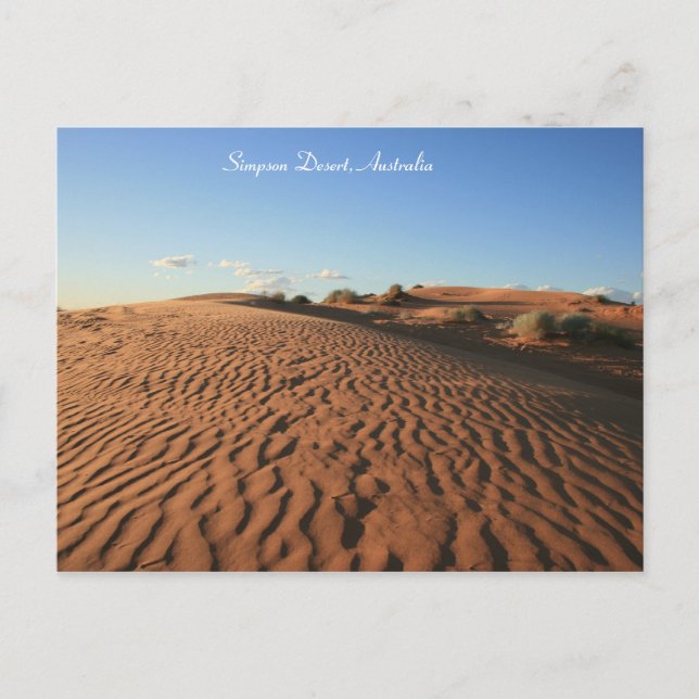 Sable du désert rouge - Carte postale (Devant)