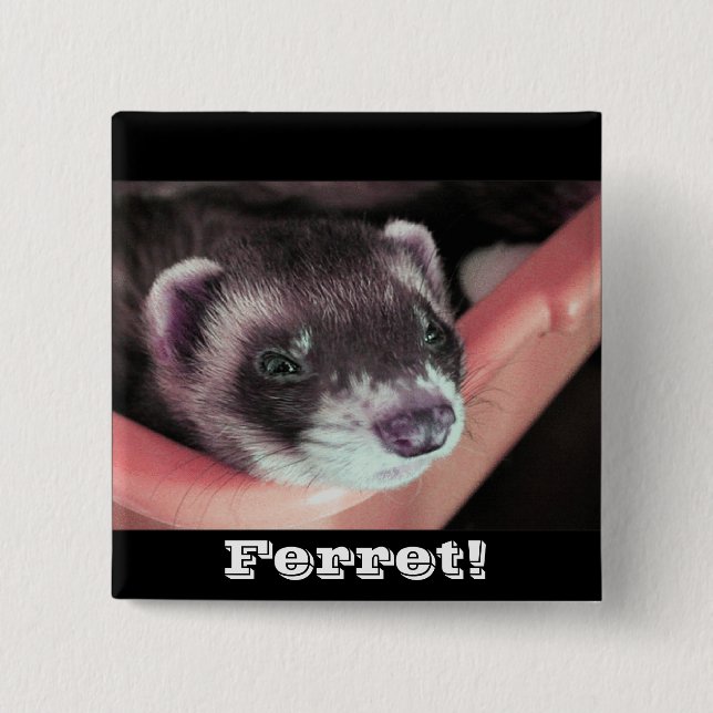 Sable Ferret Button (Front)